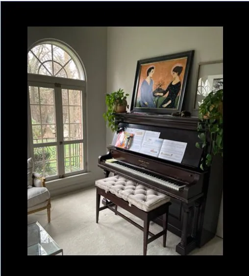Baby Grand Piano Bench Cushion with Piping