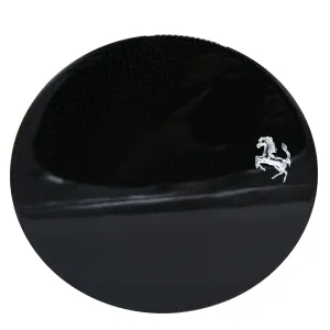 Carbon Fiber Fuel Door California T and F12