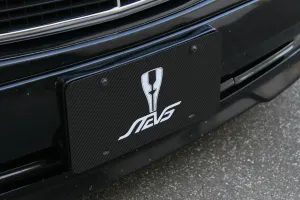 Carbon fiber - License plate blank