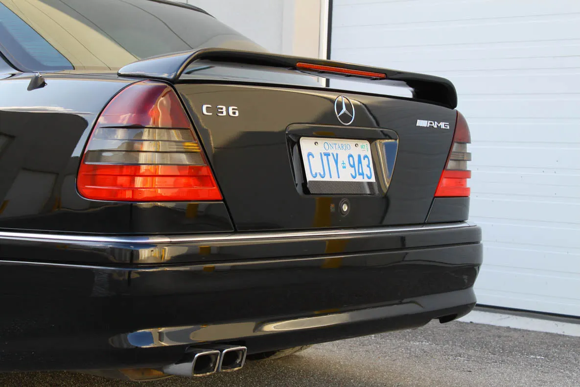 Carbon fiber - Stick-on license plate bezel - Large