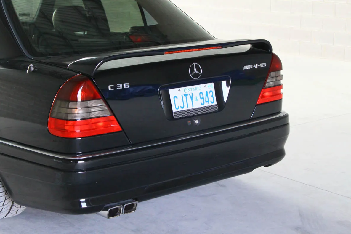 Carbon fiber - Stick-on license plate bezel - Large