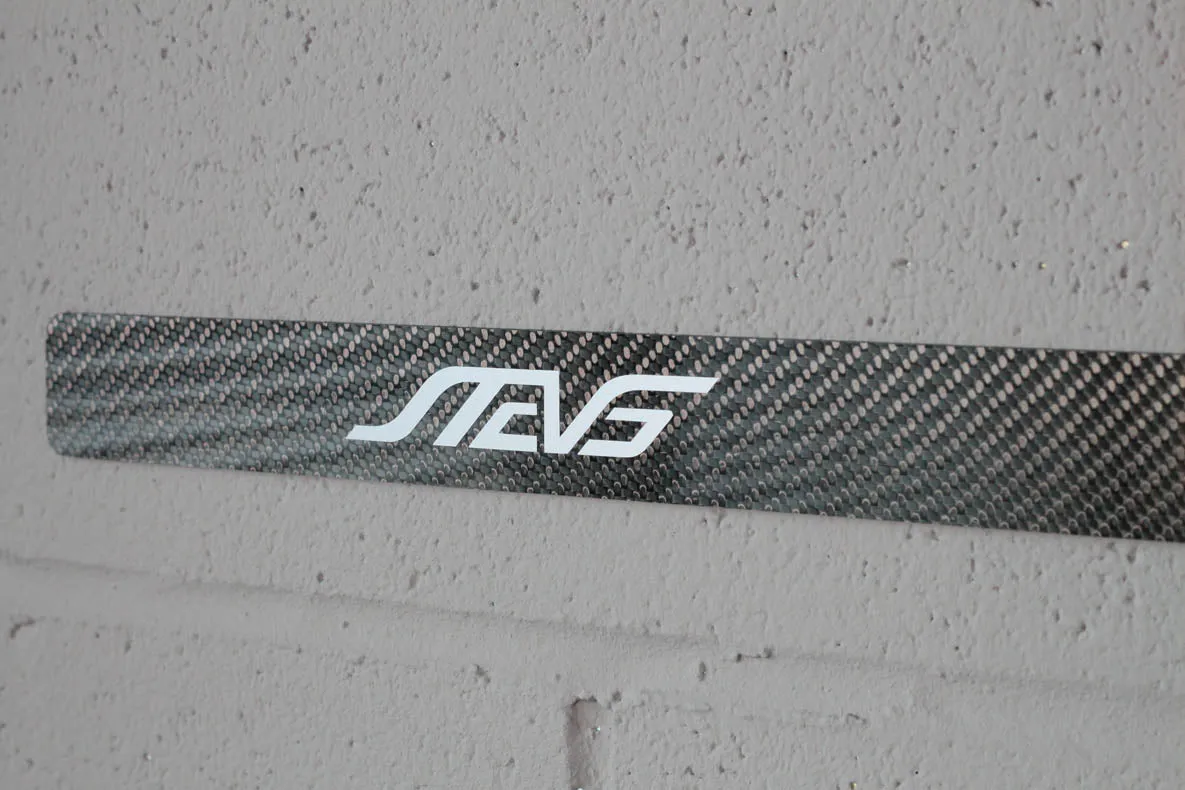 Carbon fiber - Stick-on license plate bezel - Large