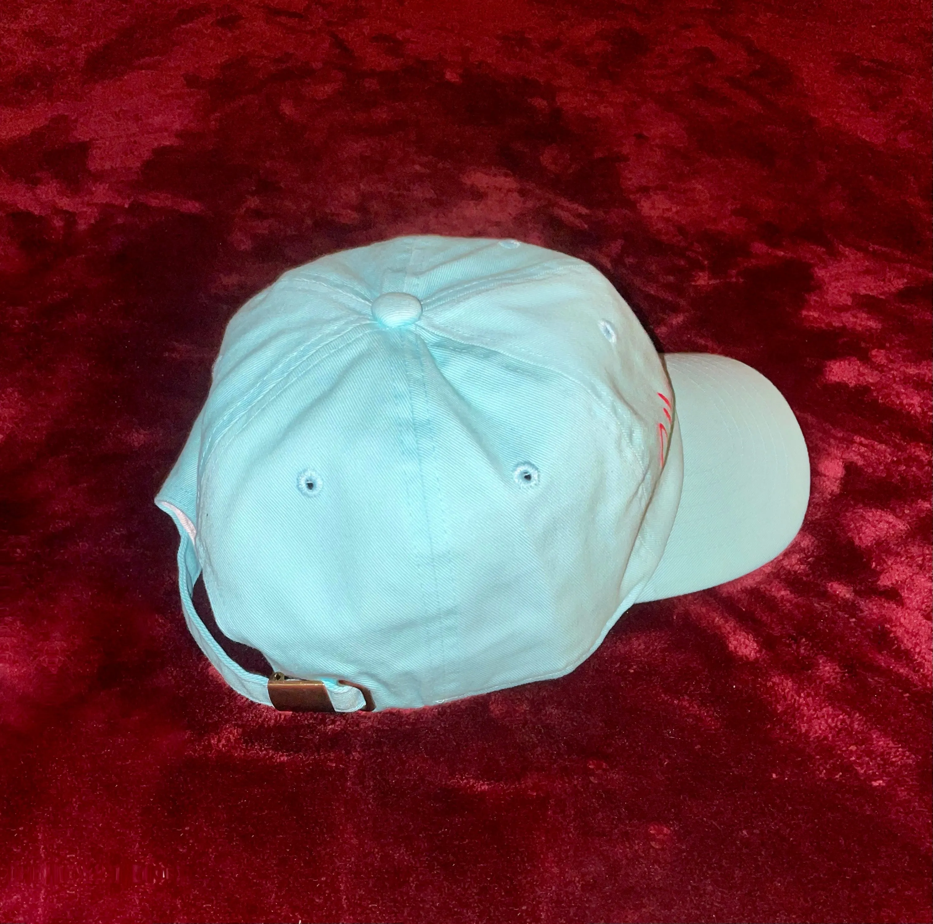 Fallon Aurielle Signature Dad Hat (Seafoam Green & Red)