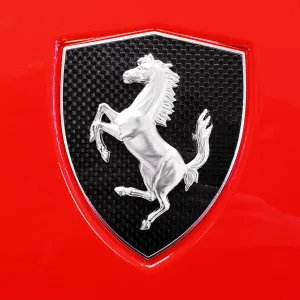 Ferrari 360 & F430 Scuderia Carbon Fender Shield