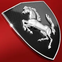 Ferrari 360 & F430 Scuderia Carbon Fender Shield
