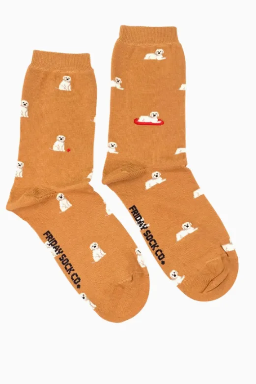 Friday Socks Co -Womens Socks | Tiny Golden Dog