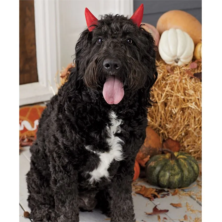Halloween Dog Costume Headbands