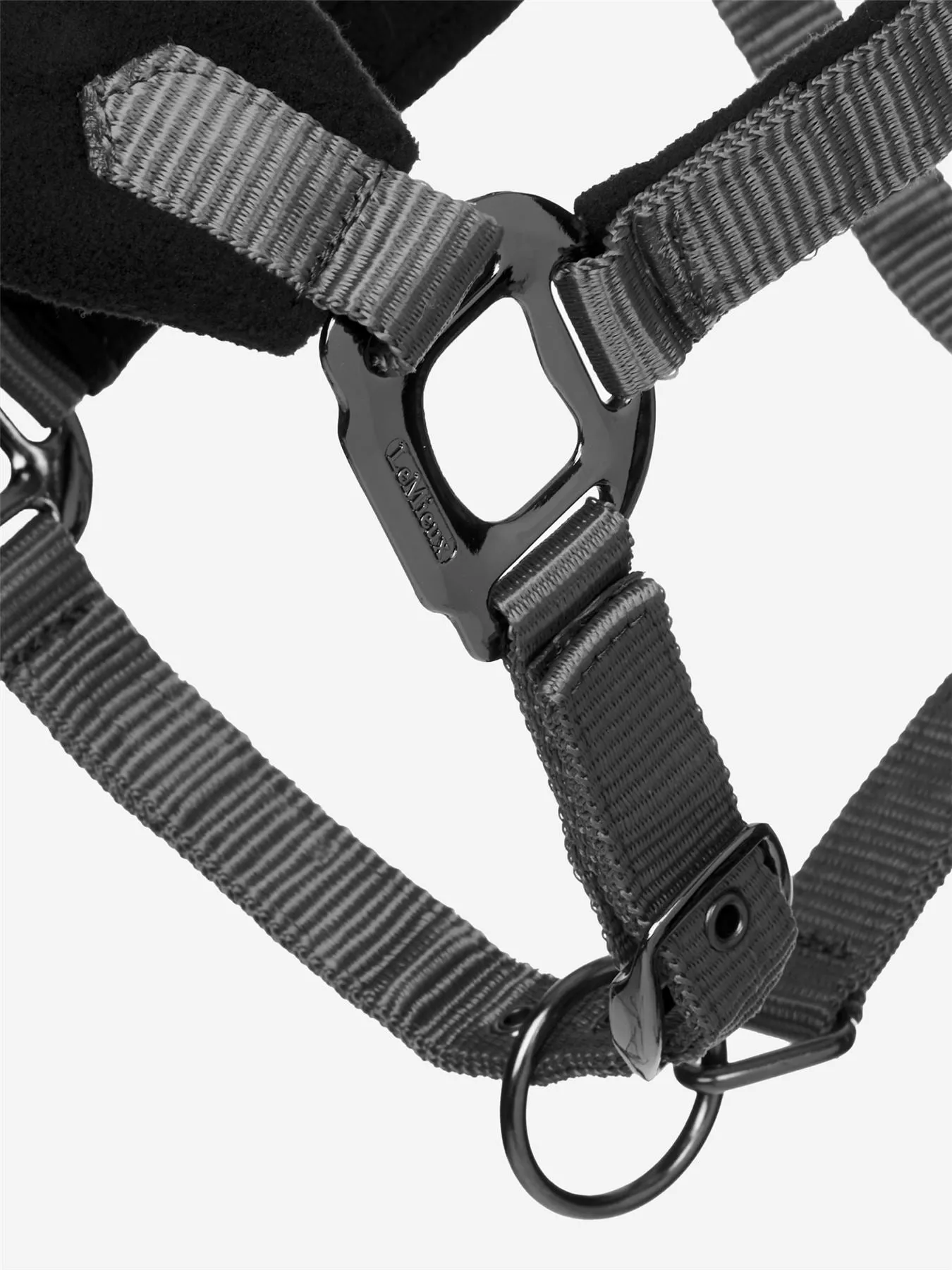 LeMieux Vogue Headcollar & Leadrope