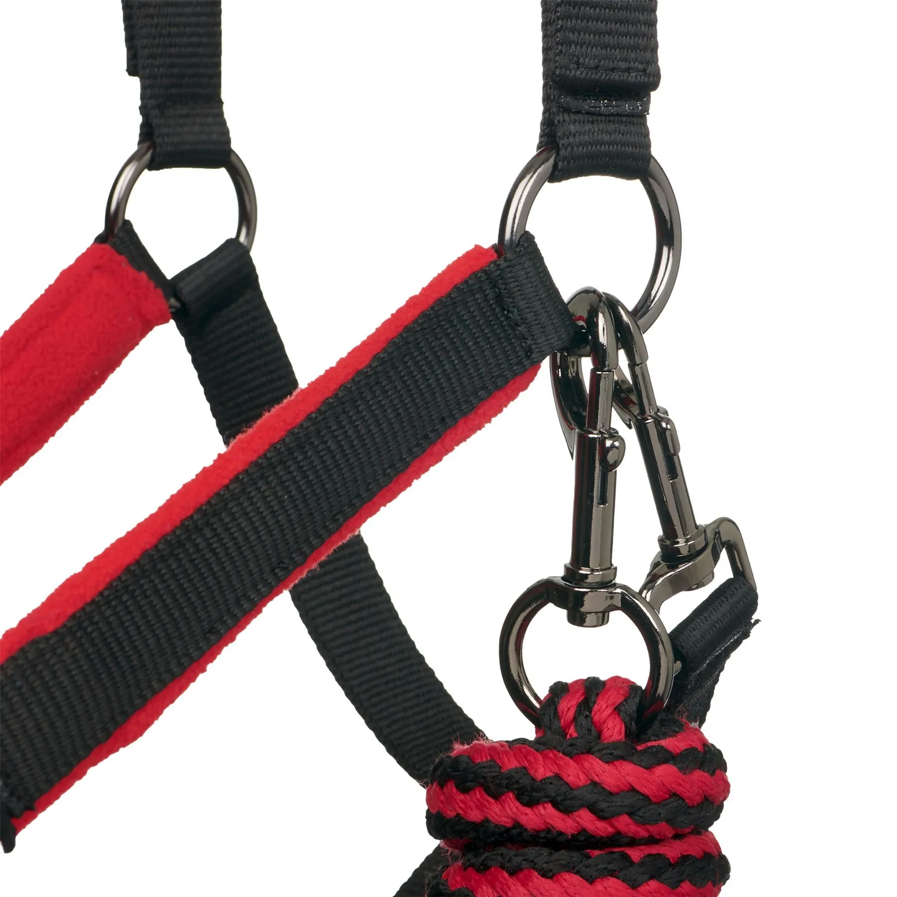 LeMieux Vogue Headcollar & Leadrope
