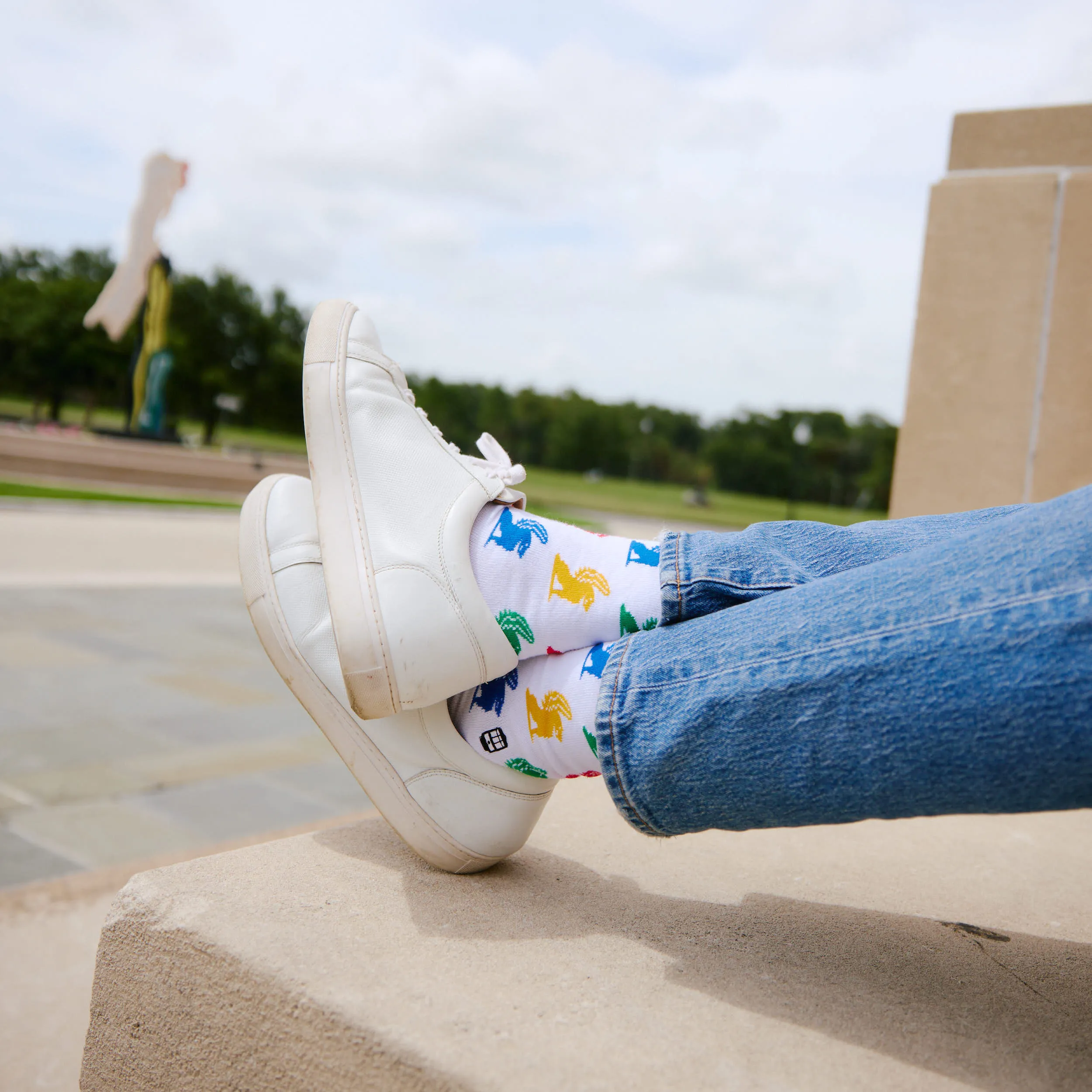 NOMA Socks