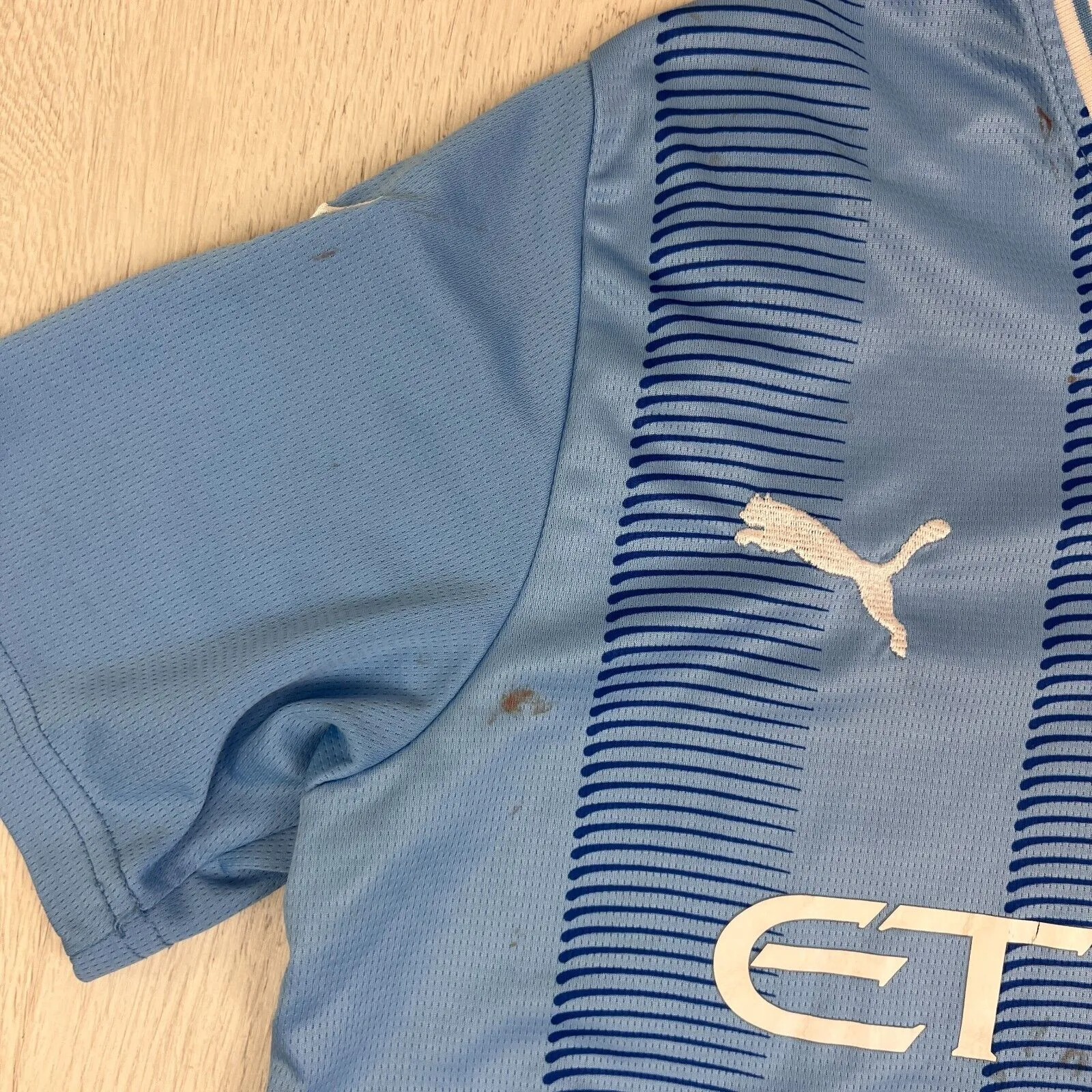 PUMA Manchester City Mens Soccer Jersey Football Jersey Size M (Marked)