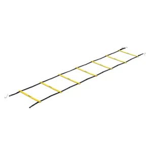 Quick Ladder Pro
