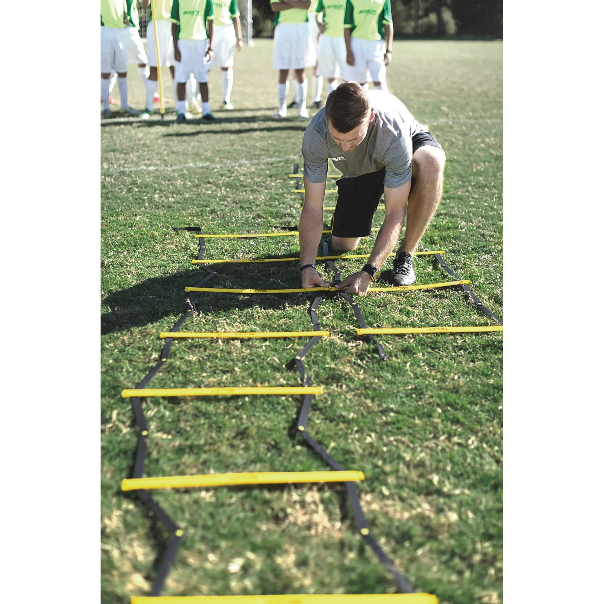 Quick Ladder Pro