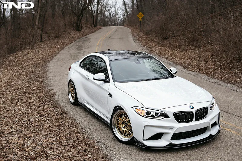 RKP F87 M2 Carbon Roof