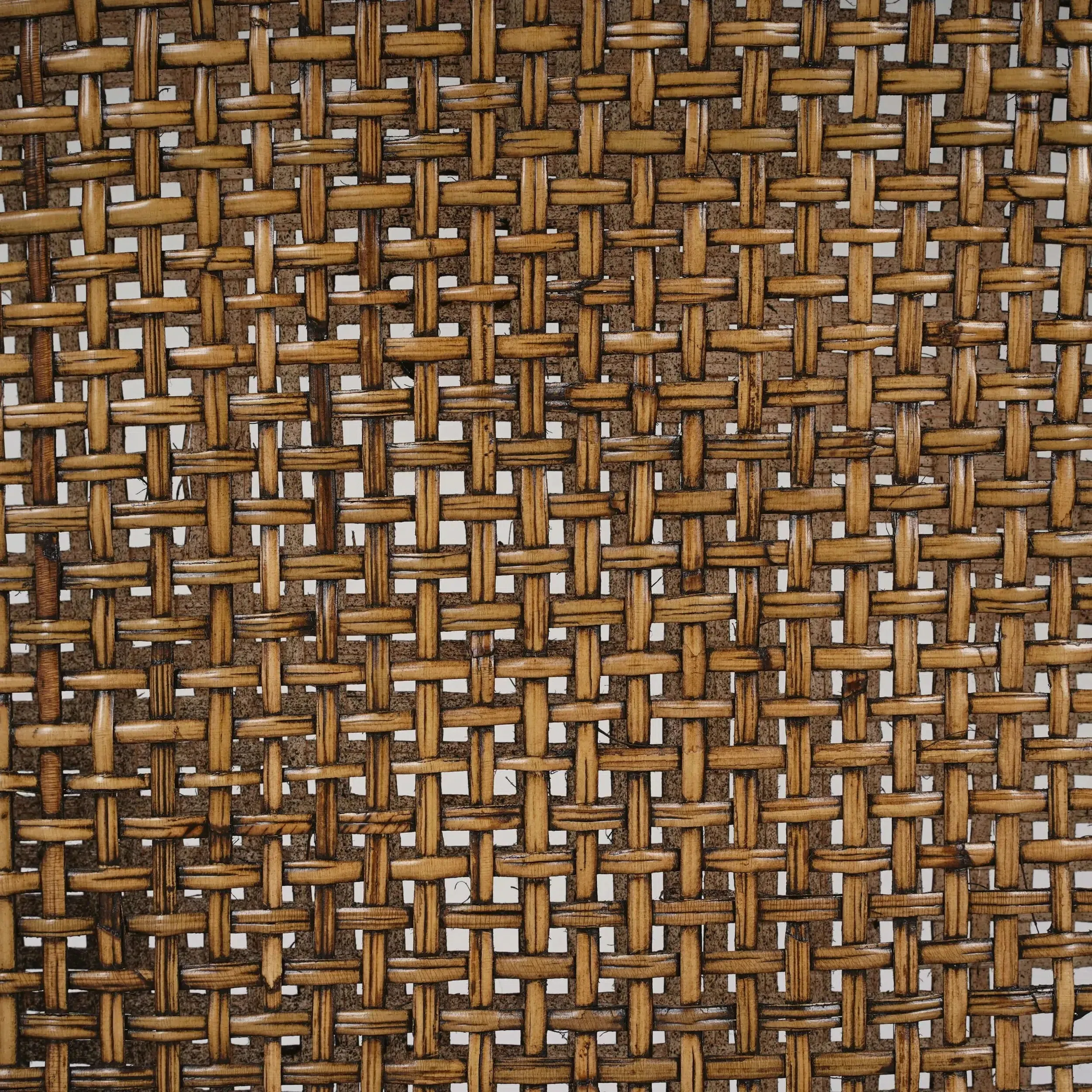 Savanah Dining Chair in Light Glazed Rattan w/ Arctic White Performance Fabric Cushion