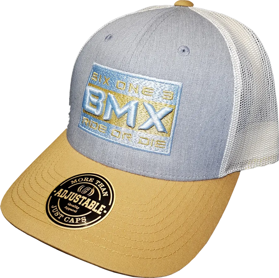 Six One 3 BMX Ride Or Die Mesh Back Trucker Cap Blue Gold