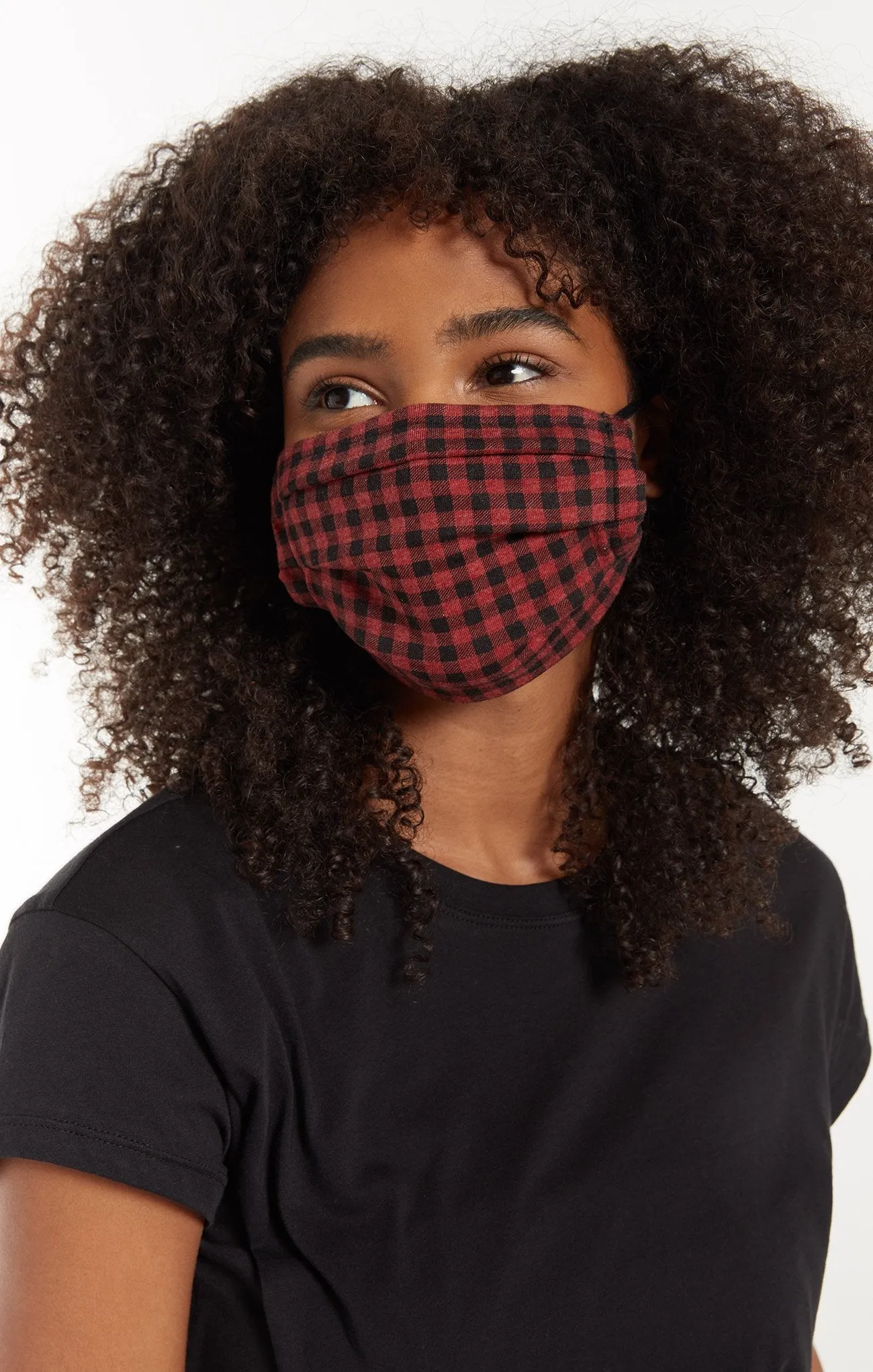 Z Supply 4 Pack Masks Holiday