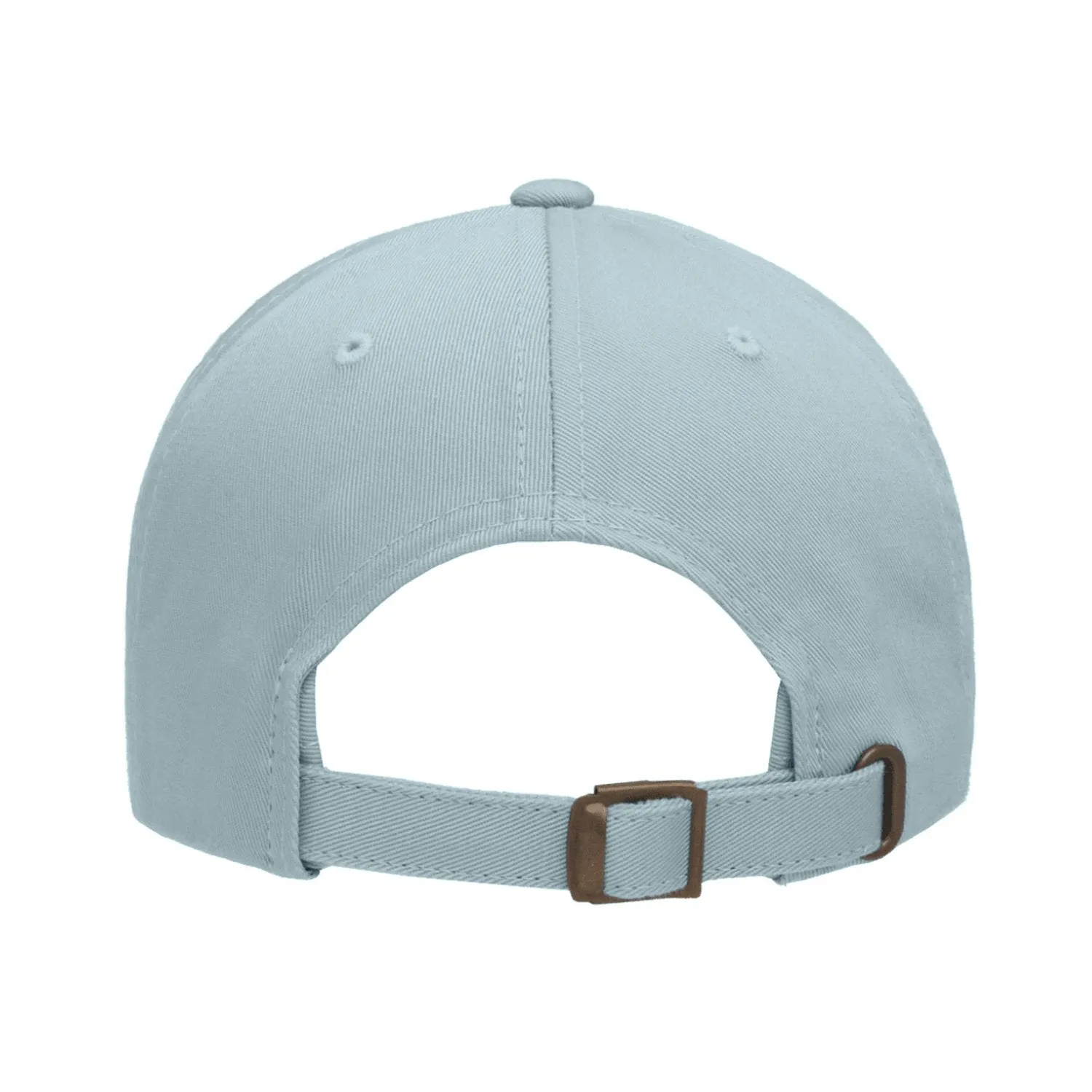 Zissou Society Dad hat